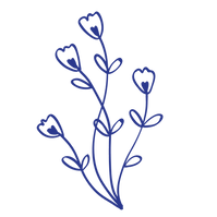 fleurs-site-02.png