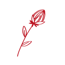 fleurs-site-03.png